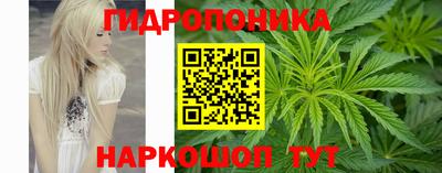PSILOCYBIN Рыбинск
