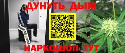 PSILOCYBIN Рыбинск