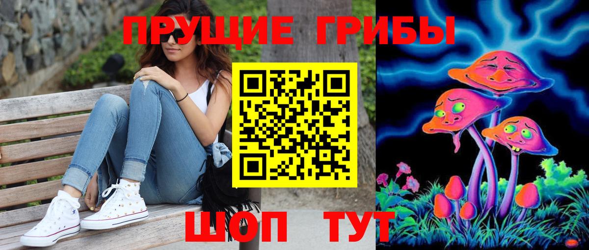 Саранск  Галлюциногенные грибы Psilocybine cubensis  Вход с VPN 