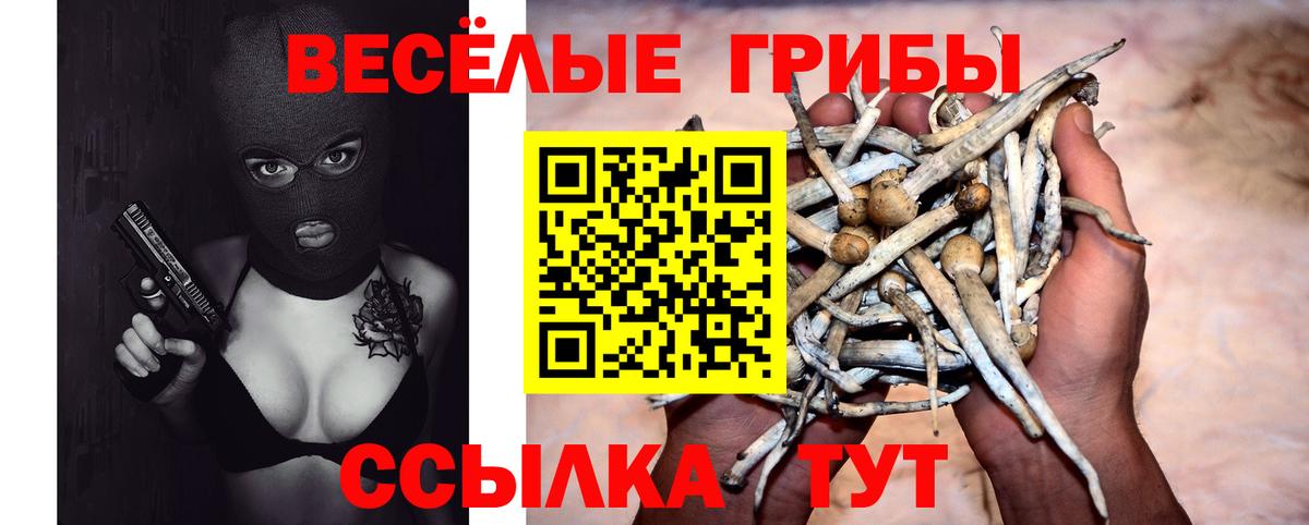 Галлюциногенные грибы GOLDEN TEACHER Саранск